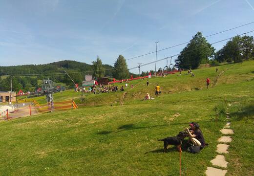 IMG 20190609 153708