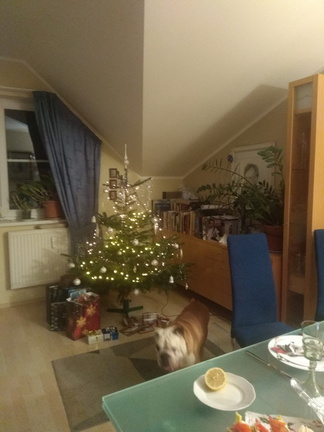 IMG 20231224 180710