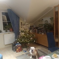 IMG 20231224 190022