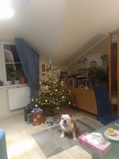 IMG 20231224 190022