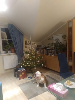 IMG 20231224 190024