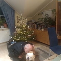 IMG 20231224 190048