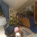 IMG 20231224 190049