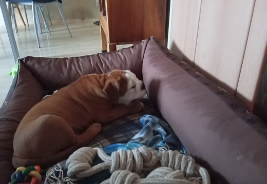 IMG 20250903 063900