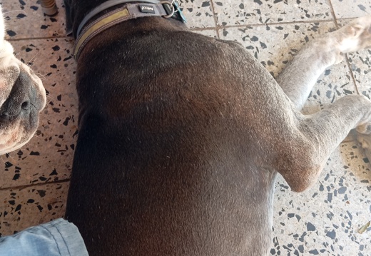 IMG 20260622 101934