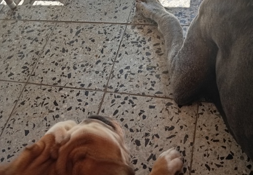 IMG 20260622 102035