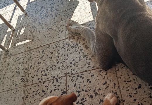 IMG 20260622 102045